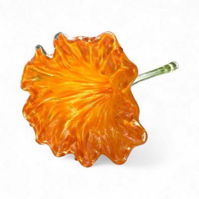 Orange Flower